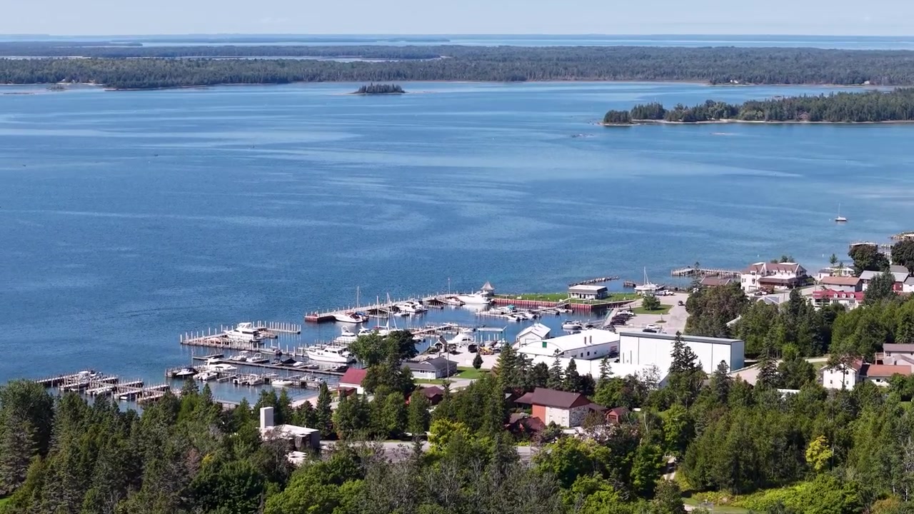Vista aerea di una zona selvaggia vicino a uno specchio d'acqua, forse il Lago Huron.