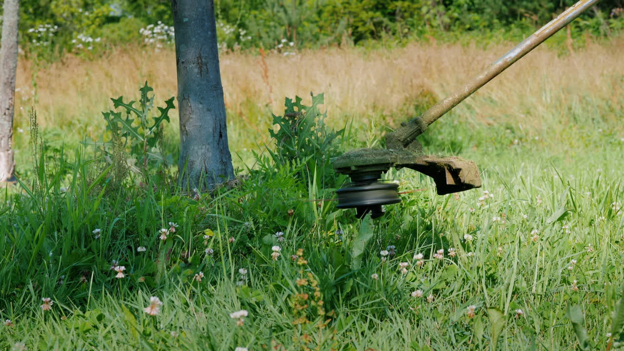 트리머 헤드는 회전 라인 클로즈업 샷으로 잔디를 깎습니다.