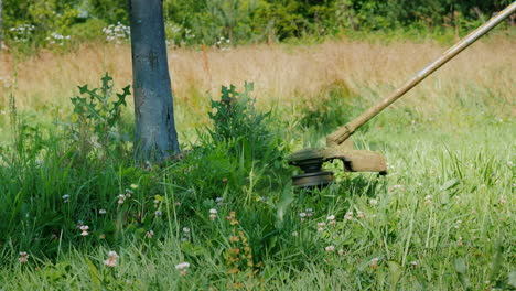 trimmer head mows grass with a rotating line close-up shot