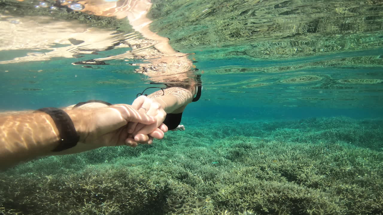물고기처럼 함께 여행하세요.
