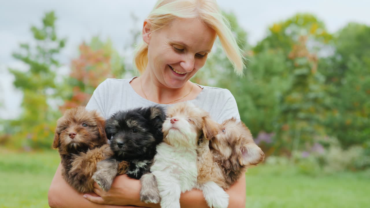 강아지를 들고 행복한 여자