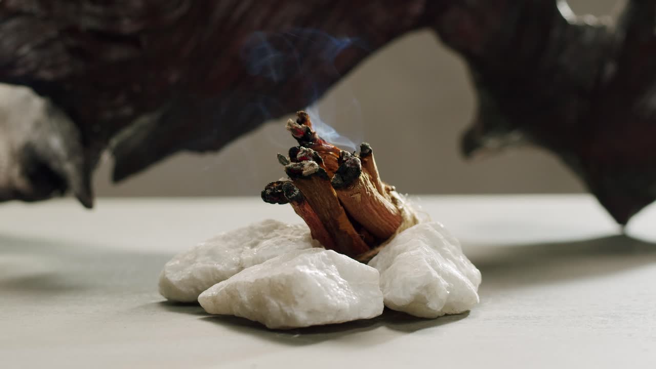 Person holding Palo Santo wood stick in hand, aromatic Palo Santo burning on black background, smoke spreading around, slow motion video clip, high quality 4k close up footage. High quality 4k footage