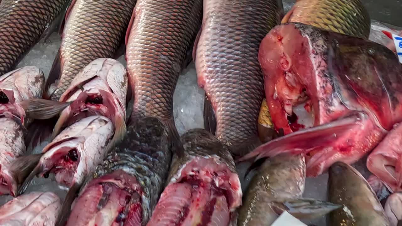 Detailed view of fish heads and price tags on ice, showcasing freshness and variety at a seafood market.