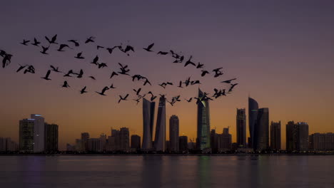 dubai skyline at sunrise/sunset with birds