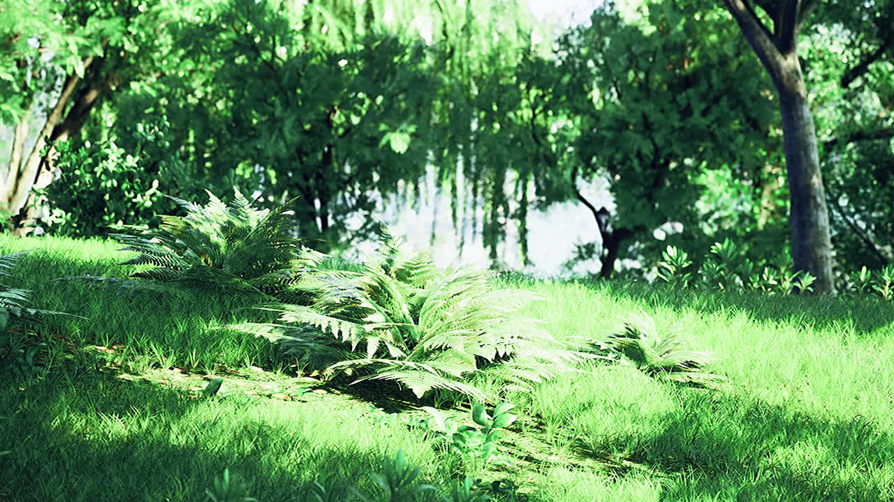 Lush green landscape with ferns beside a tranquil water body under sunlight