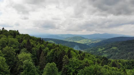 idyllic forest in beskid sadecki mountains, poland, aerial panorama over tree tops