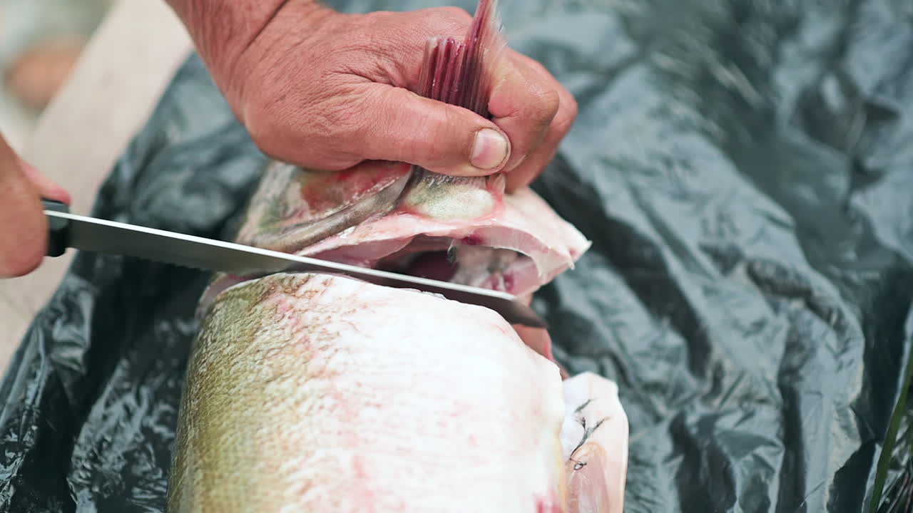 Close up of hands cutting a fish tail on a black surface with a knife