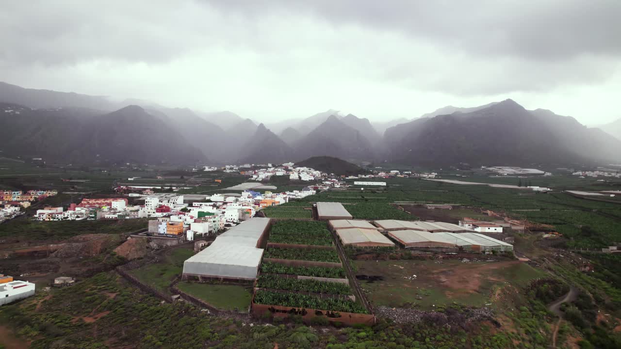 plantación de plátanos cerca de un pueblo con montaña en el fondo, antena