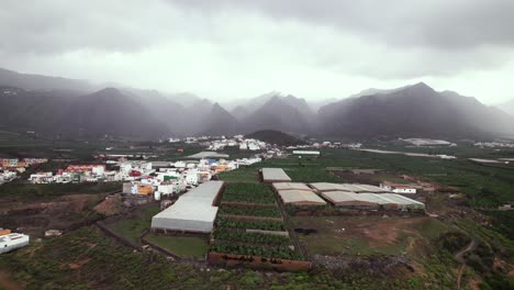 Plantación-De-Plátanos-Cerca-De-Un-Pueblo-Con-Montaña-En-El-Fondo,-Antena