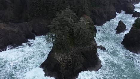 Excelente-Toma-Aérea-De-Pinos-En-Una-Gran-Roca-Frente-A-La-Costa-De-Oregon