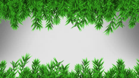 animation of fir trees branches over white background