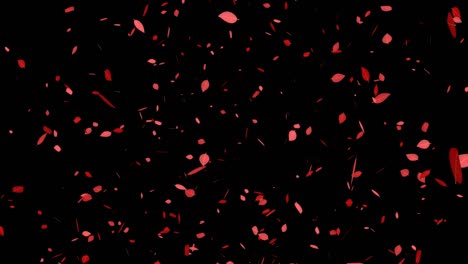 dead leaves, red leaves, autumn leaves, autumn, particles that emerge, motion graphics