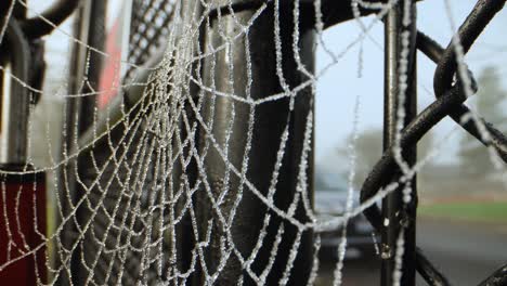 dew covered spiderweb hangs from a gate