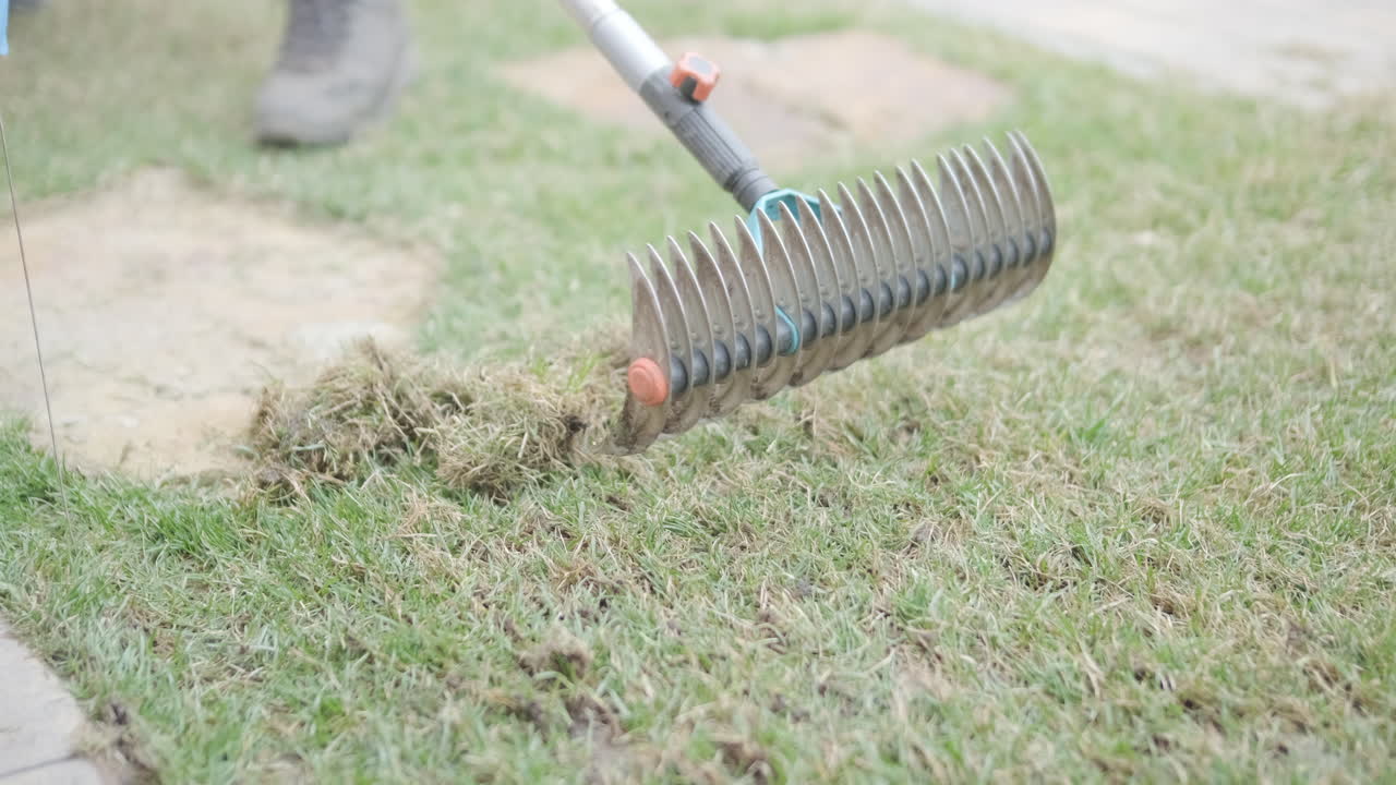 Plano Detalhe de Ancinho Removendo Palha de Gramado