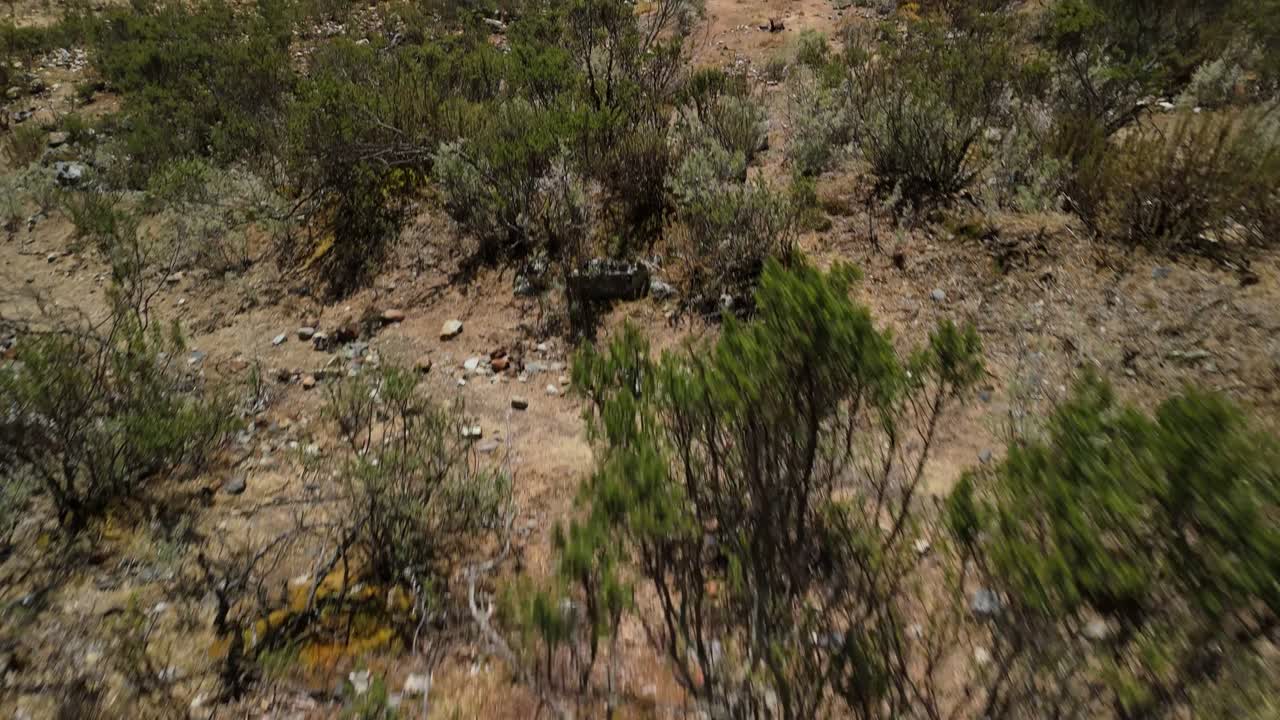 A dramatic aerial tilt-up shot reveals the stunning, vibrant green waters of Laguna Shallap, a glacial lake nestled among the towering, snow-capped peaks of the Cordillera Blanca in Peru