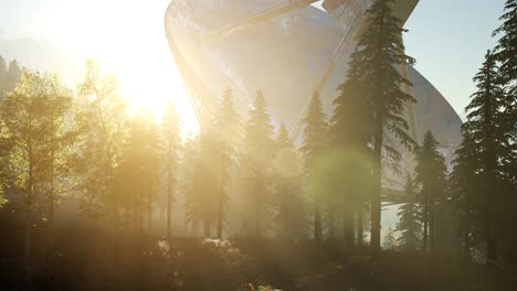the observatory radio telescope in forest at sunset