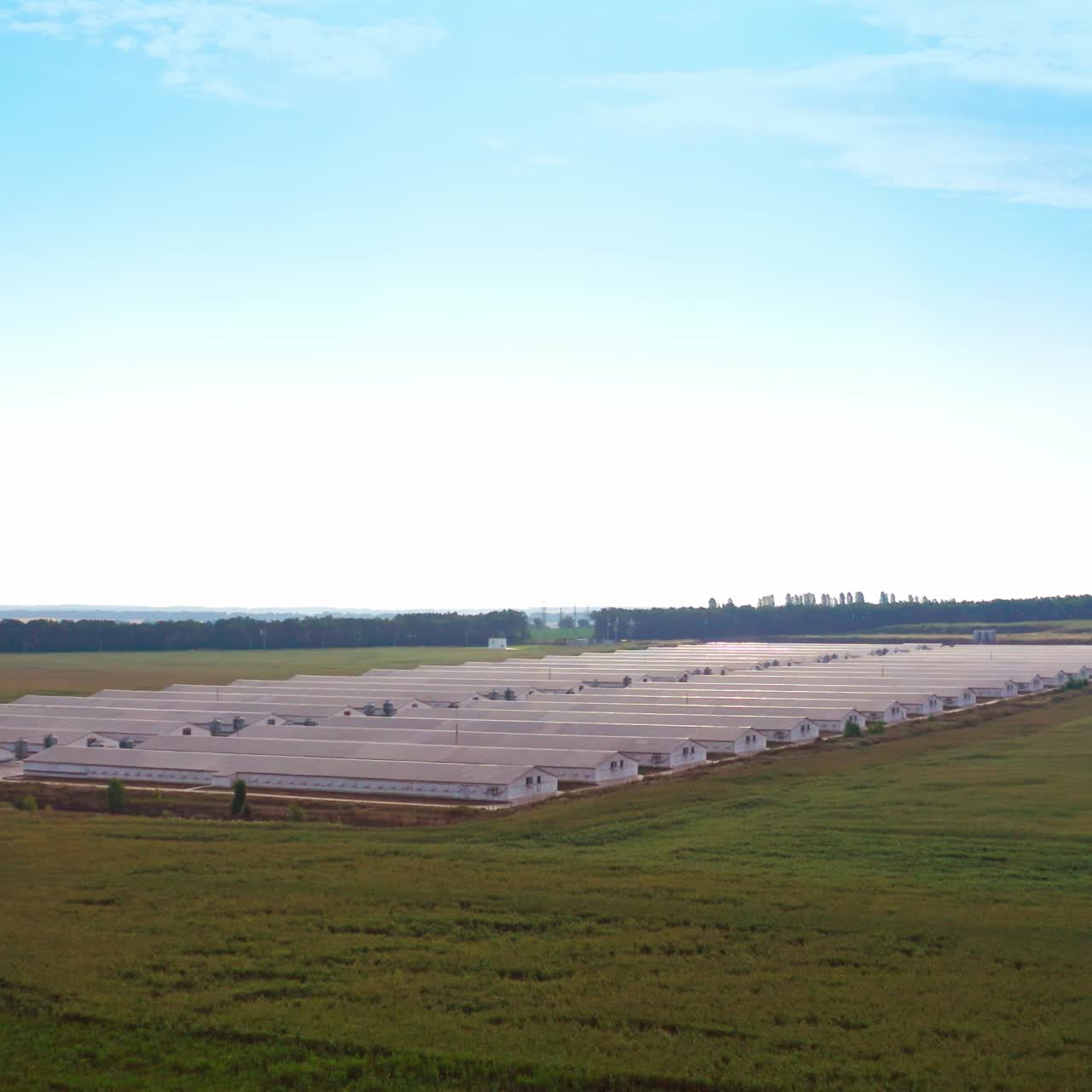 Farm complex in the vast natural plantations. White long warehouses standing in rows at the rectangular shape territory