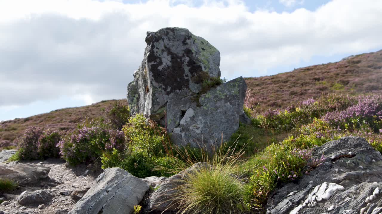 Static shot of mossy rock, heather, and grass under cloudy daylight on open moorland hillside