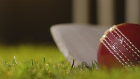 cricket still life with close up of ball and bat lying in grass in front of stumps 7