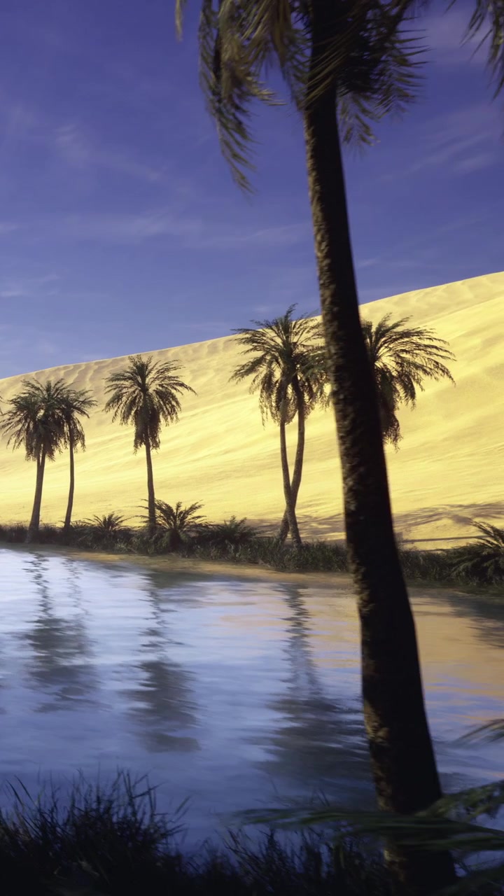 Palme vicino all'acqua con dune di sabbia sullo sfondo al tramonto