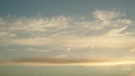 impresionante puesta de sol con bandada de estorninos volando