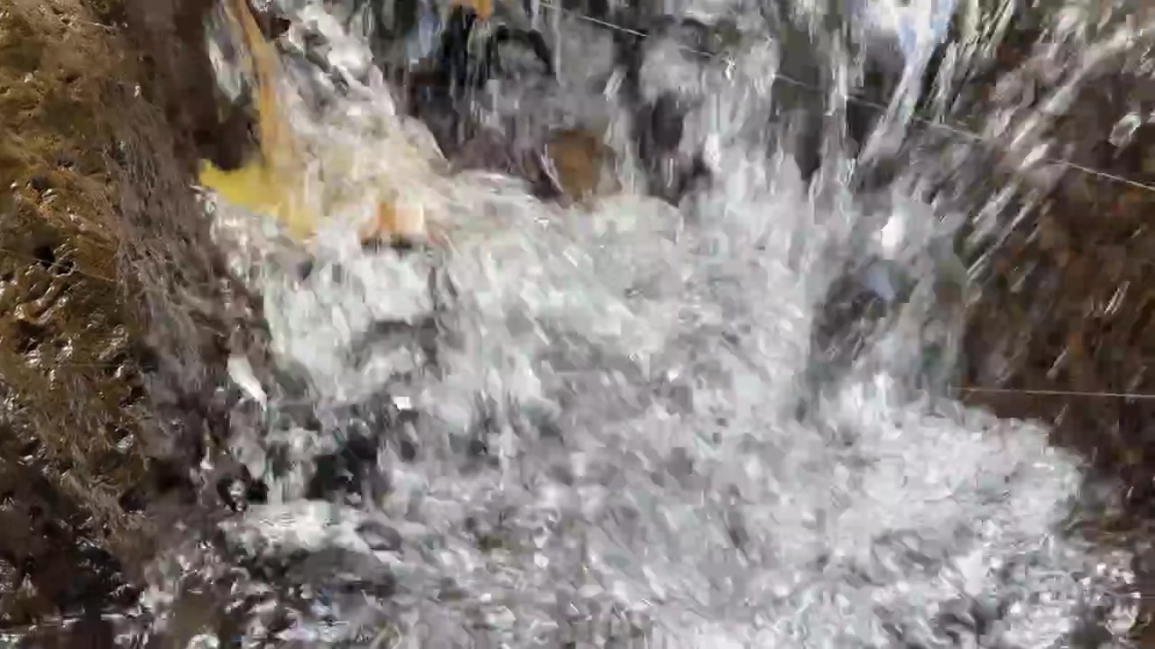 Piccola cascata che scorre su rocce muschiose nella natura