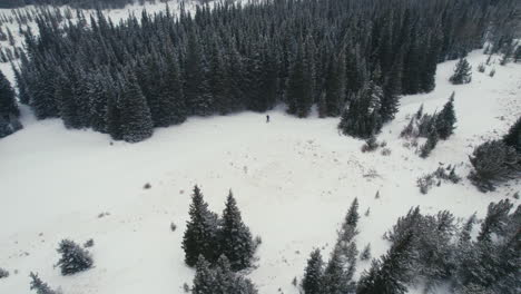 Drohnen-Luftaufnahme,-Die-Um-Den-Mann-Herumfliegt,-Splitboarding,-Der-Allein-Im-Schneebedeckten-Felsgebirge-Alpenwald-In-Der-Nähe-Der-Baumgrenze-Mit-Leichtem-Schneefall-Steht