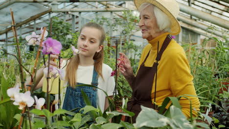 grandmother and granddaughter caring for orchids in greenhouse