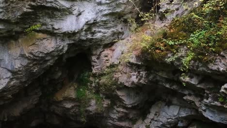 cave entrance surrounded by stone-walled ledges and small bushes