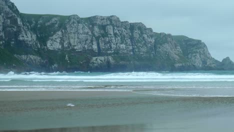 coastal grace: seagulls dance above ocean waves on a serene beach in new zealand