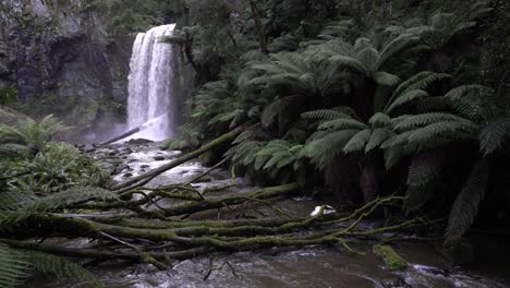 Wasserfall,-Der-Im-Regenwald-Unter-Viel-Grün-Fließt