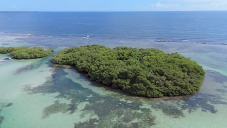 Aerial-view-of-green-vegetated-island-surrounded-by-turquoise-ocean-water-at-Playa-Boca-Chica,-Santo-Domingo