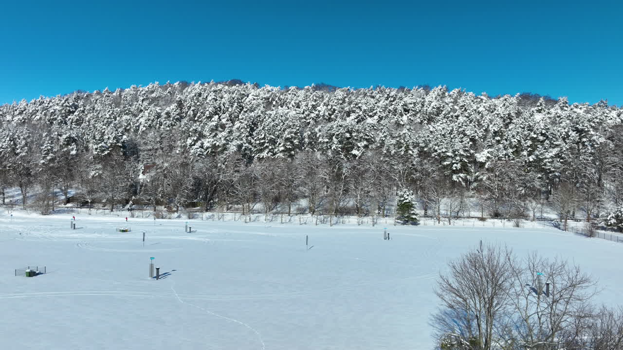 ポーランド、グダニスクの澄み切った青空の下、真っ白い新雪に覆われた鬱蒼とした松林の美しいシネマティックな空撮。冬の旅行や自然ドキュメンタリーに最適。