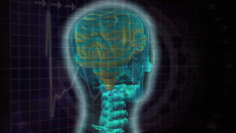 compuesto digital de un cerebro humano