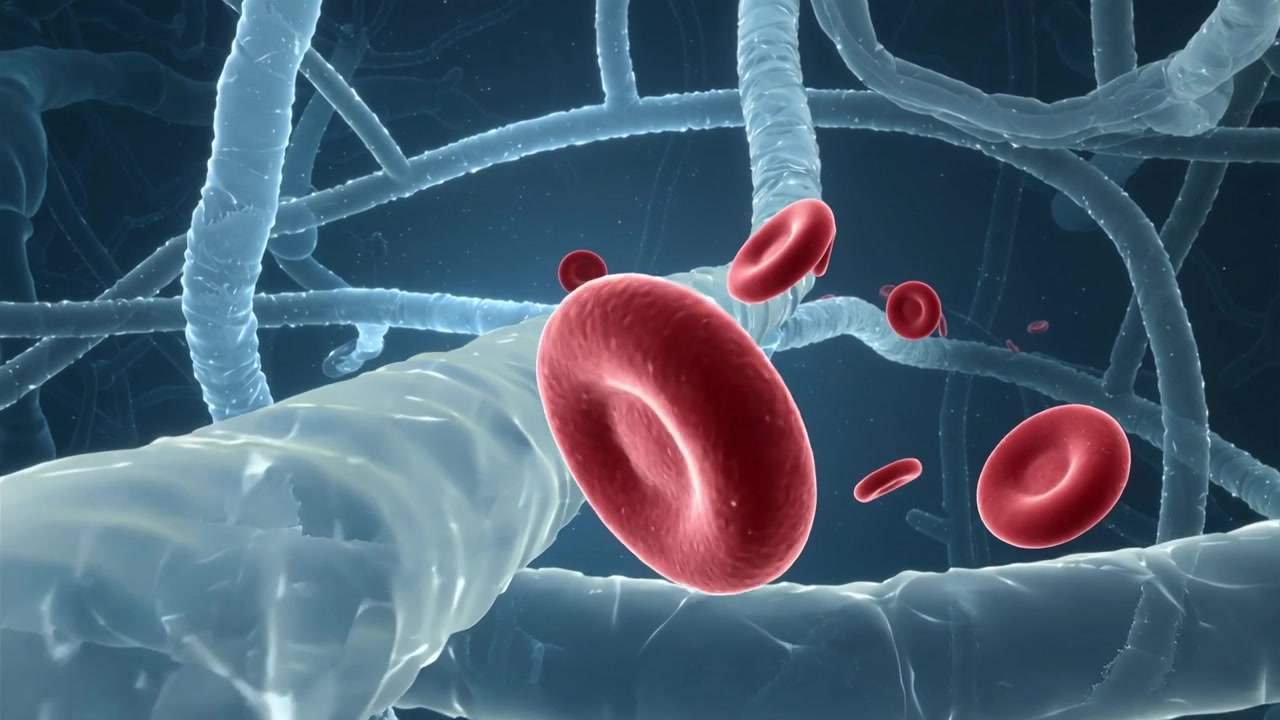 Advancing viewpoint moving through capillary, red blood cell enlarging, rotating, tumbling forward