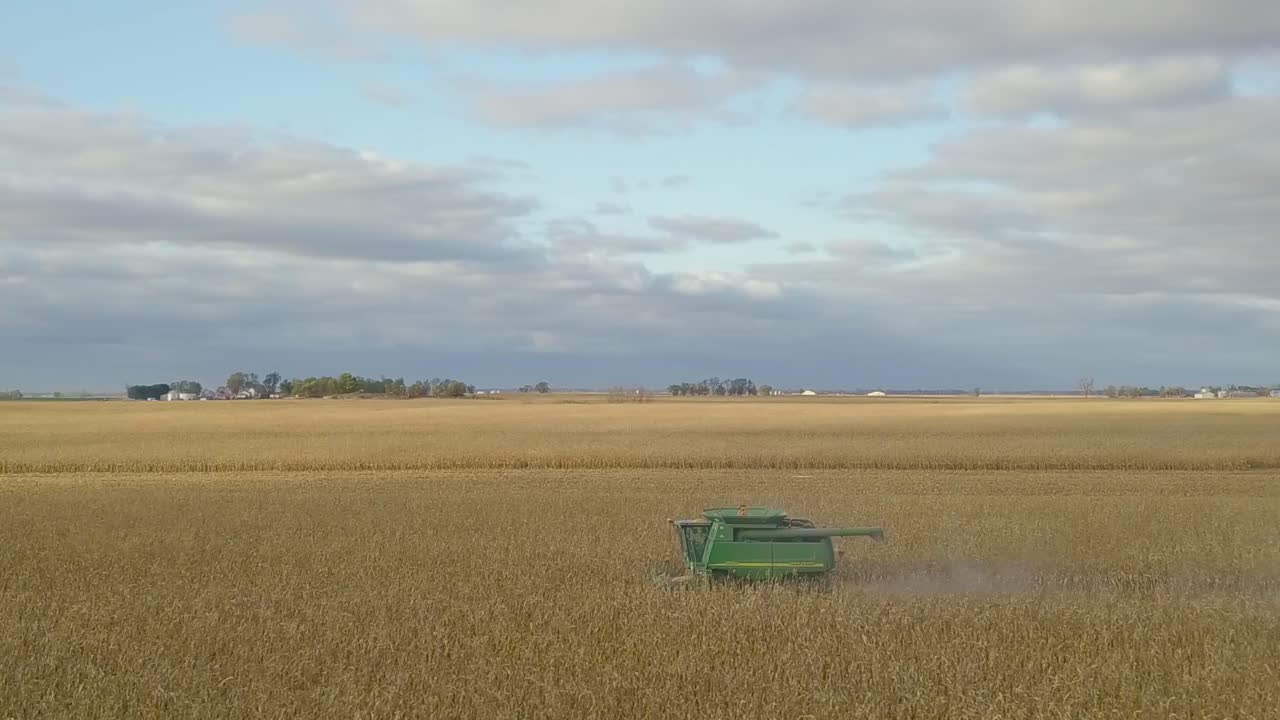 un agricultor del medio oeste cosechando un campo de maíz con una cosechadora, un tractor y un vagón de barrena