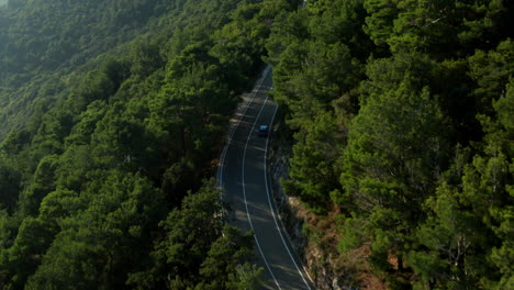 여름 동안 크로아티아 이스트리아(istria)를 향해 숲속 산악 도로를 달리는 고급 자동차