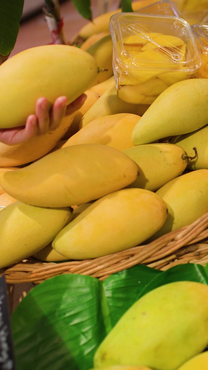 Primo piano di una mano che raccoglie e ispeziona manghi gialli freschi in un negozio di alimentari.