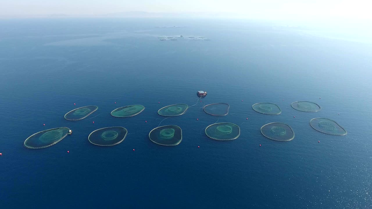 해상 수산물 양식 농장 4096x2160