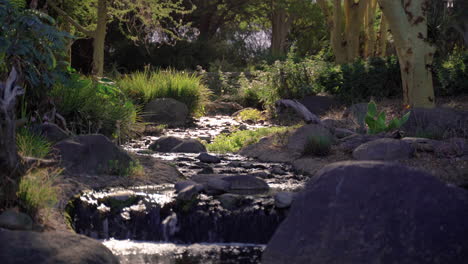 Pequeñas-Cascadas-Rocosas-Alrededor-De-árboles-Y-Arbustos-En-El-Bosque