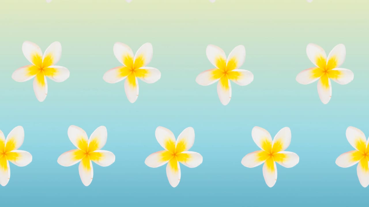 Composizione di file di fiori bianchi e gialli in movimento su sfondo blu