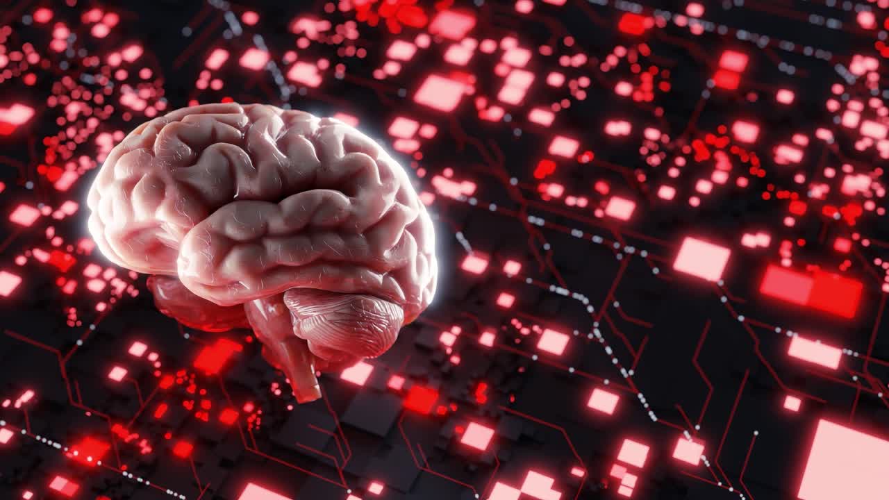 Human brain model floating over glowing red digital circuit background. 3D render of brain and illuminated tech network. Artificial intelligence and neural data flow concept.