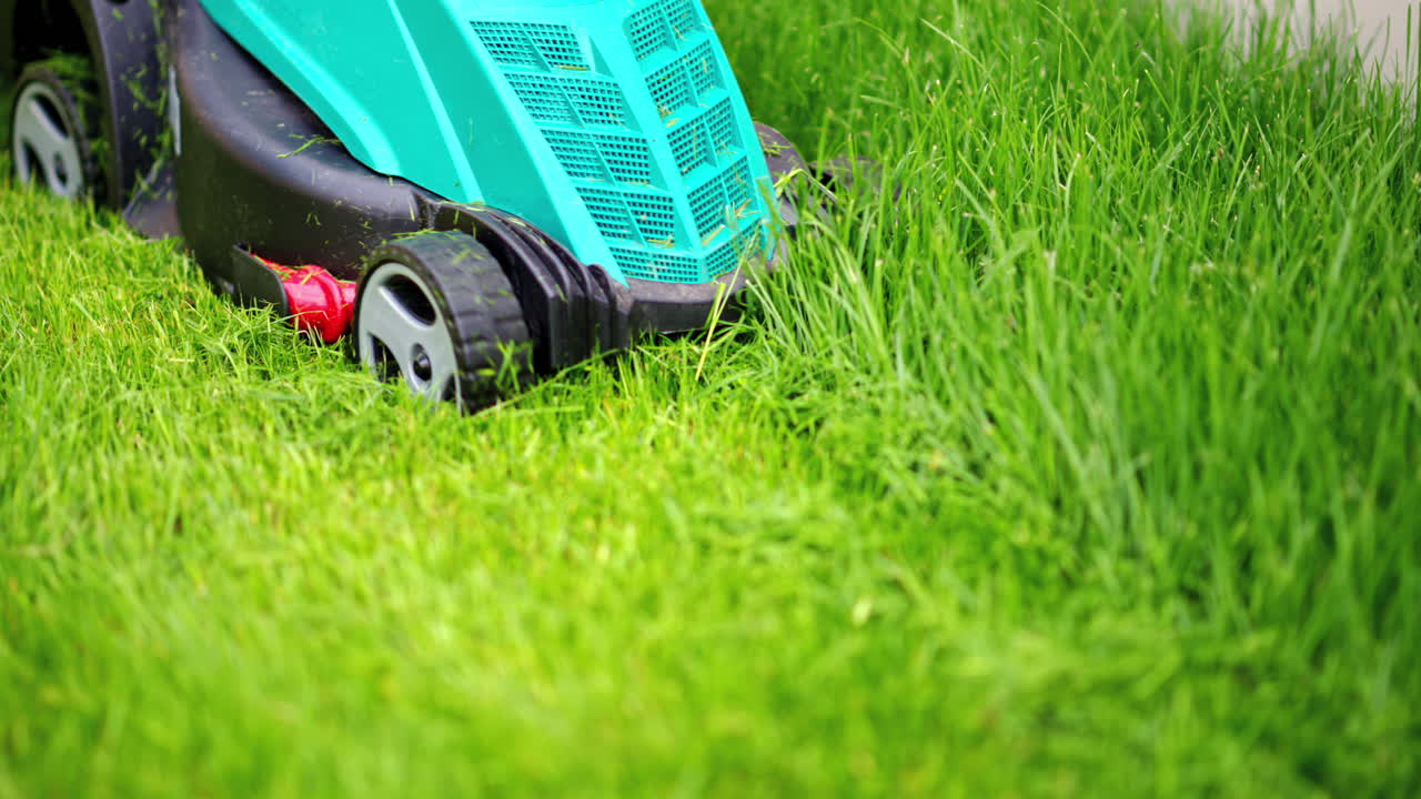 Close up of turquoise lawn mower machine cutting the grass
