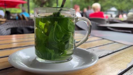 Té-De-Menta-Fresca-Al-Aire-Libre-En-Un-Jardín-De-Cerveza