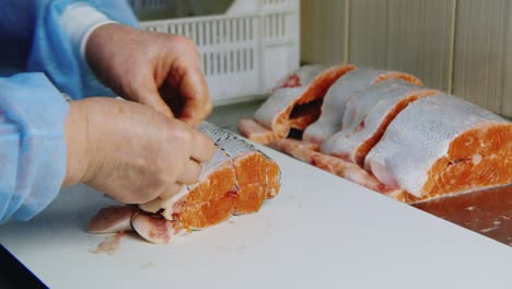 manos femeninas en el marco atan trozos de cuerda de pescado rojo