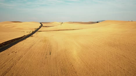 vista aérea de un dron de un campo de trigo dorado y listo para cosechar con carretera