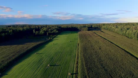 drone flying over a wheat field at sunset