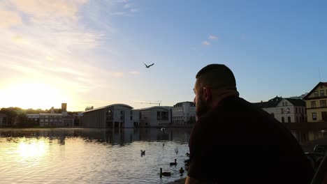 Hombre-En-El-Lago-Mirando-Aves-Acuáticas-Al-Atardecer