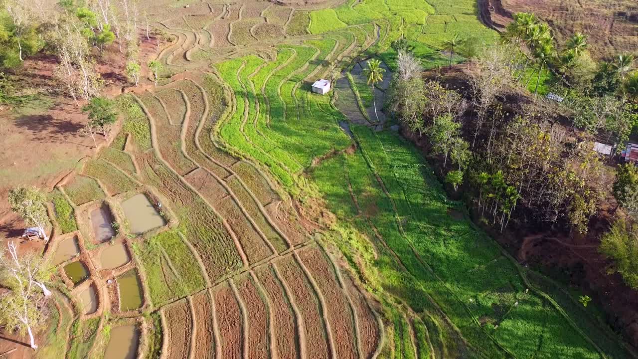 sobrevuelo transformado paisaje ambiental de tierras agrícolas cultivadas de arrozales, jardines y estanques de peces en el campo rural remoto, timor leste, vista aérea de drones de tierras agrícolas