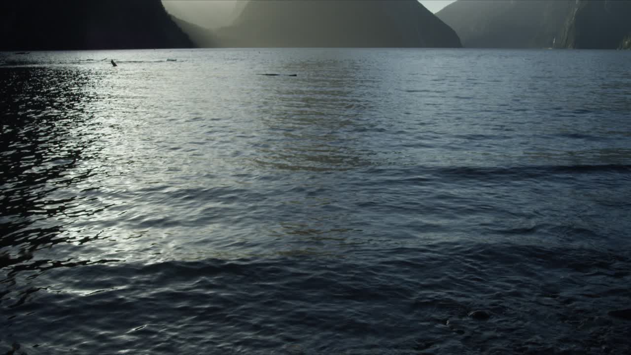 toma inclinada de la épica costa de milford sound durante la hora dorada.